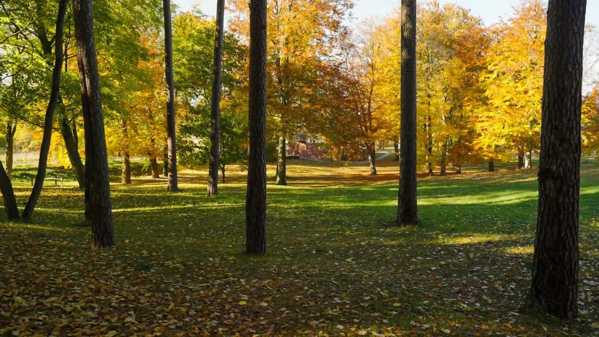 Parkresidenz Lychen, Ferienwohnung 5 Екстериор снимка