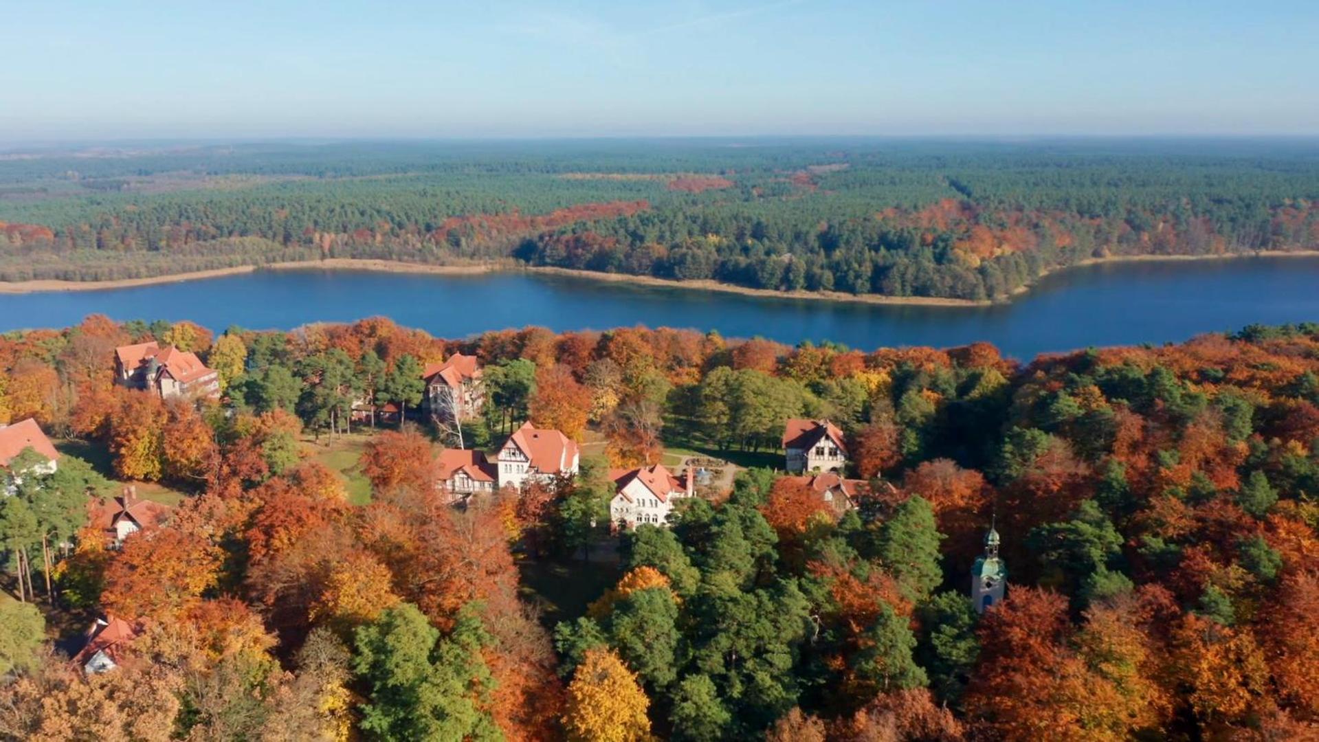 Parkresidenz Lychen, Ferienwohnung 5 Екстериор снимка